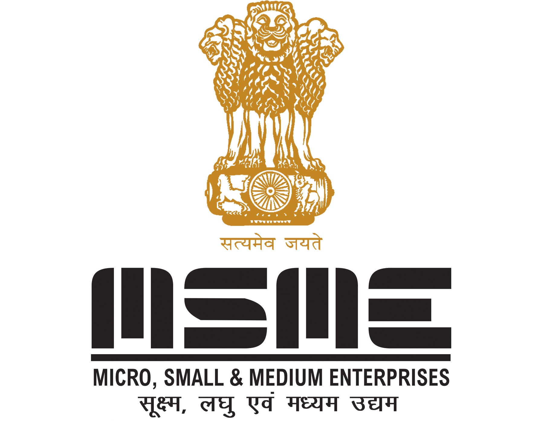 Description of the GST image